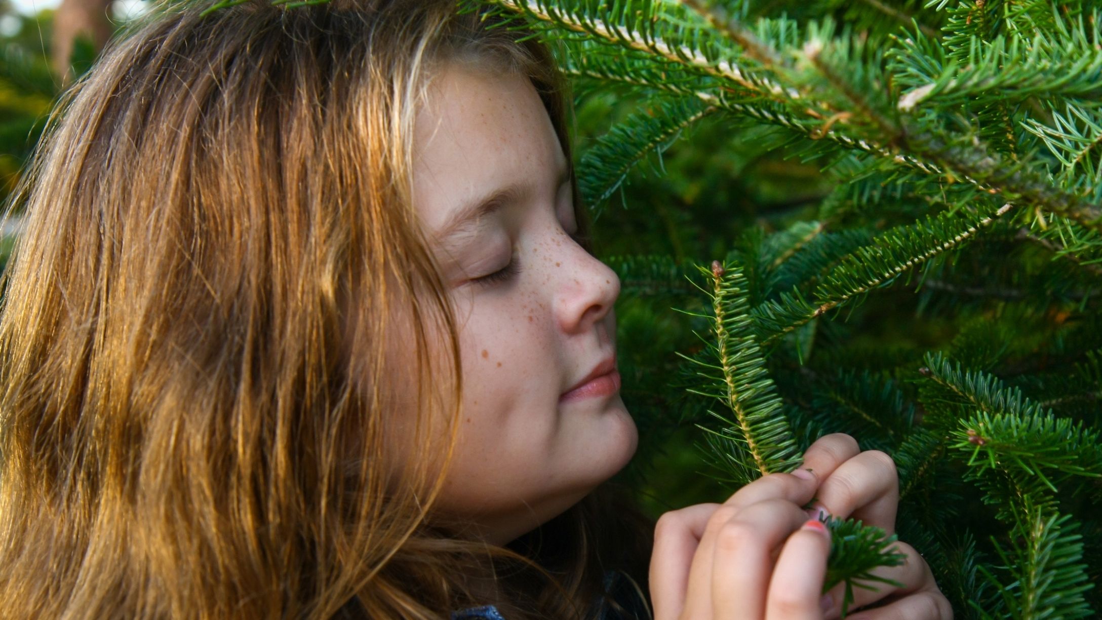 arbol navidad