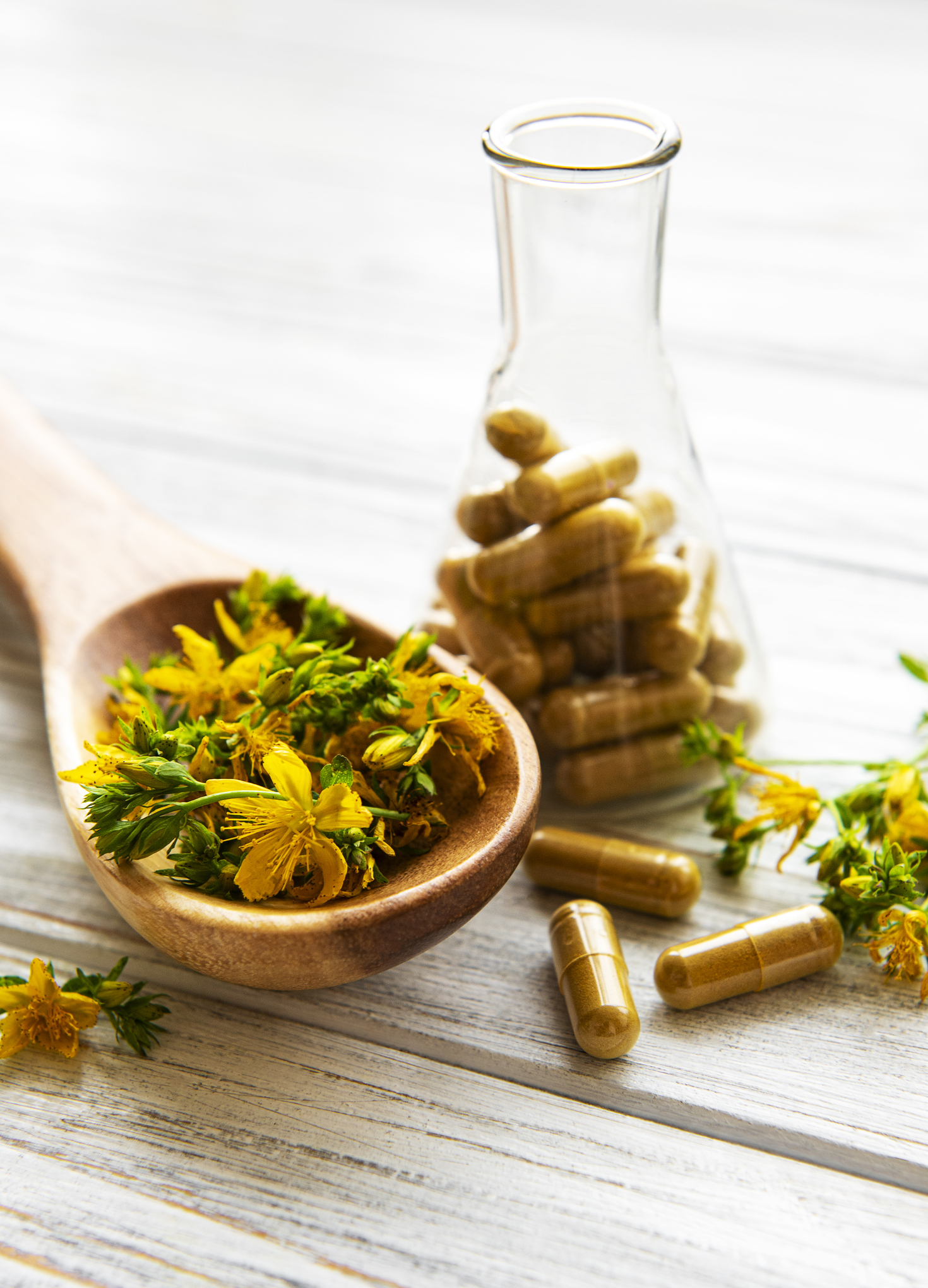 St. John's wort, herbal medical pills