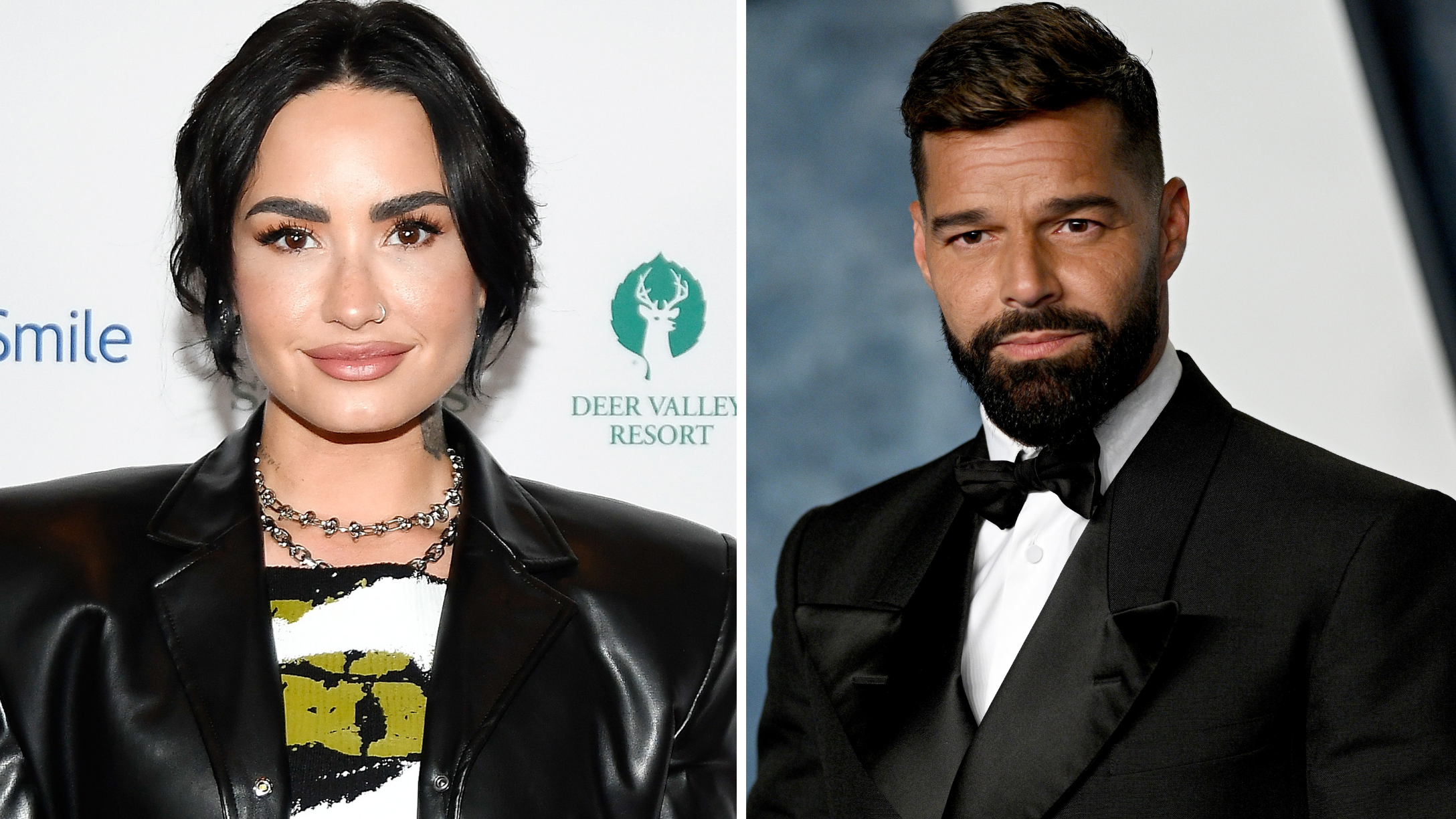 DemiLovato-RickyMartin-LGBTQ+Celebrities