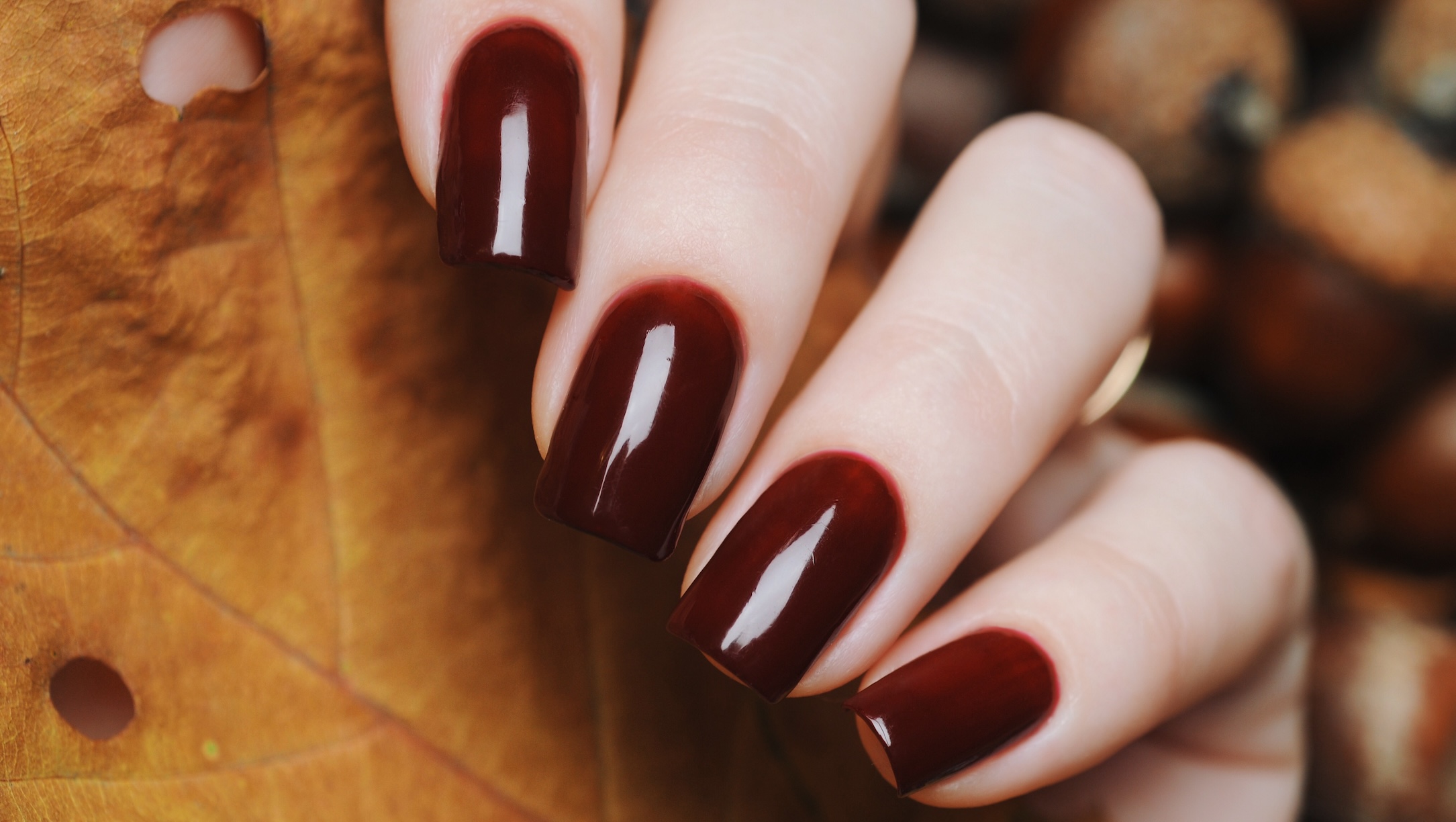 Fall nails 2024