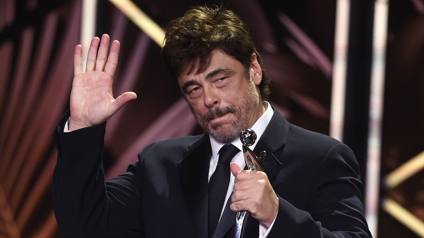 Benicio del Toro