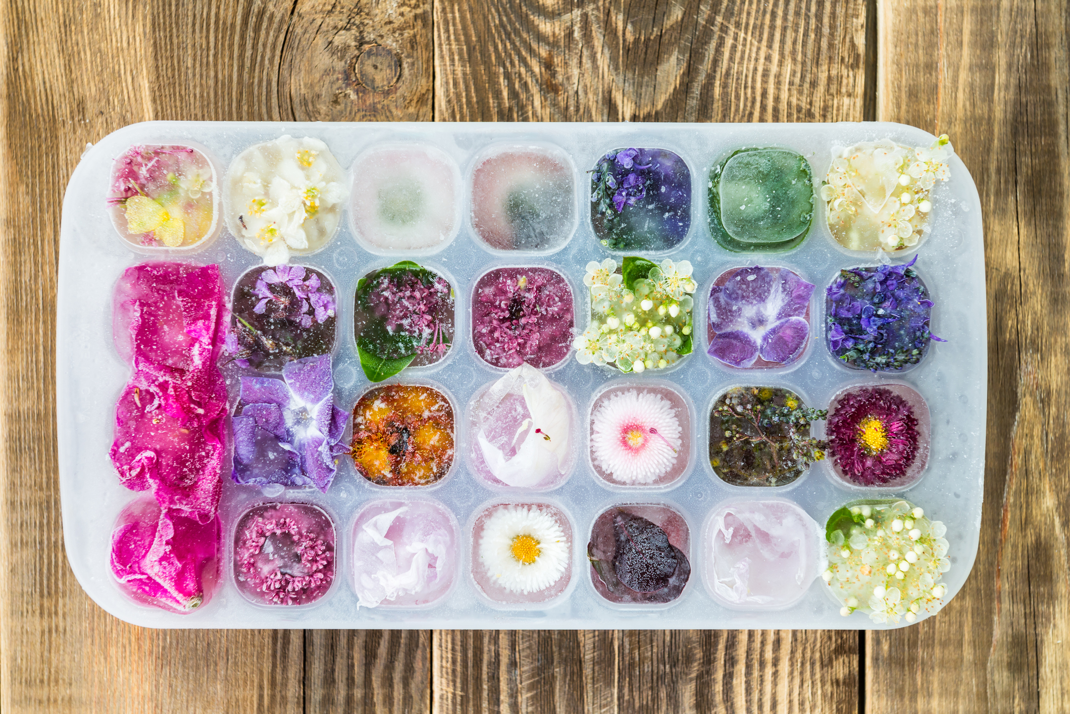 Tray with Frozen Flowers in Ice Cubes