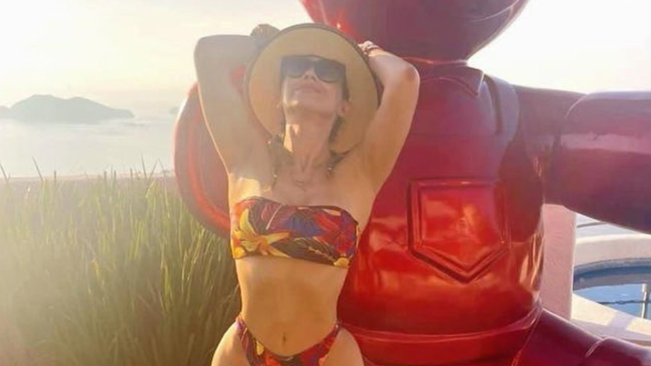 Aracely Arámbula en bikini