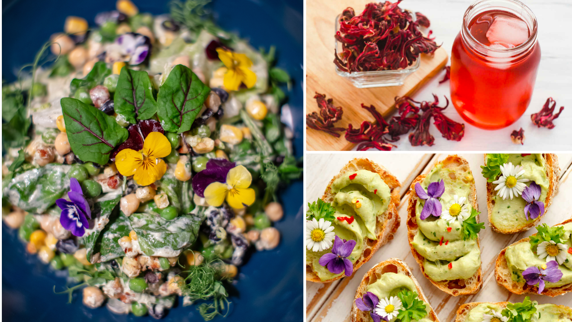 edible flowers recipes