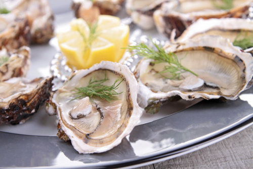 oysters