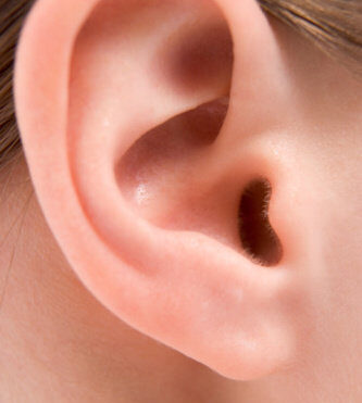 ear