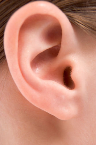 ear