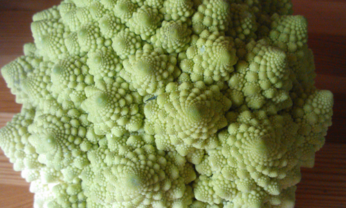 col_romanesco