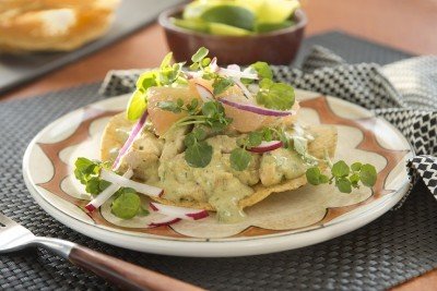 Creamy Poblano Chicken Tostadas