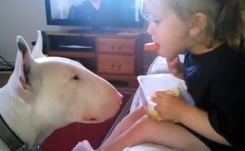 little girl feeding dog with her mouth