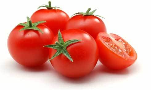 Tomato