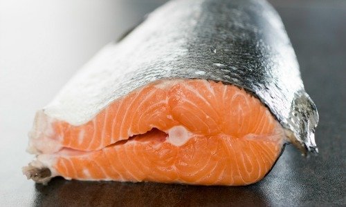 salmon