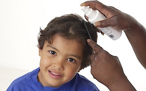 How to get rid of head lice naturally