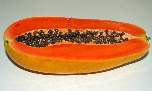 papaya