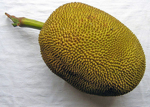 jackfruit