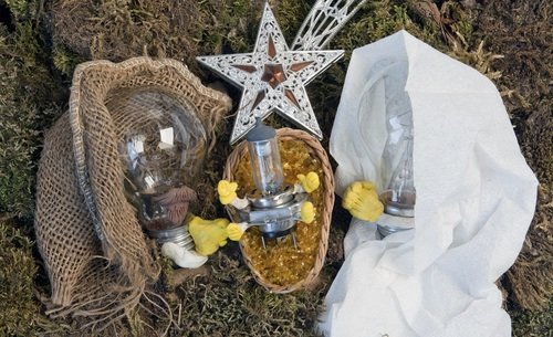 Nativity scene with light bulbs