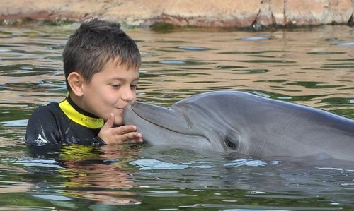 niño con delfin