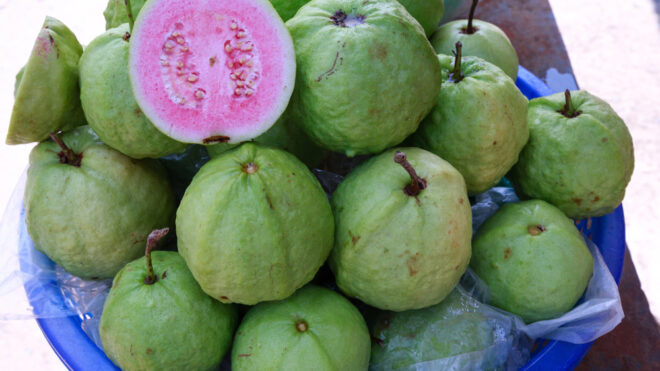 guava for weight loss