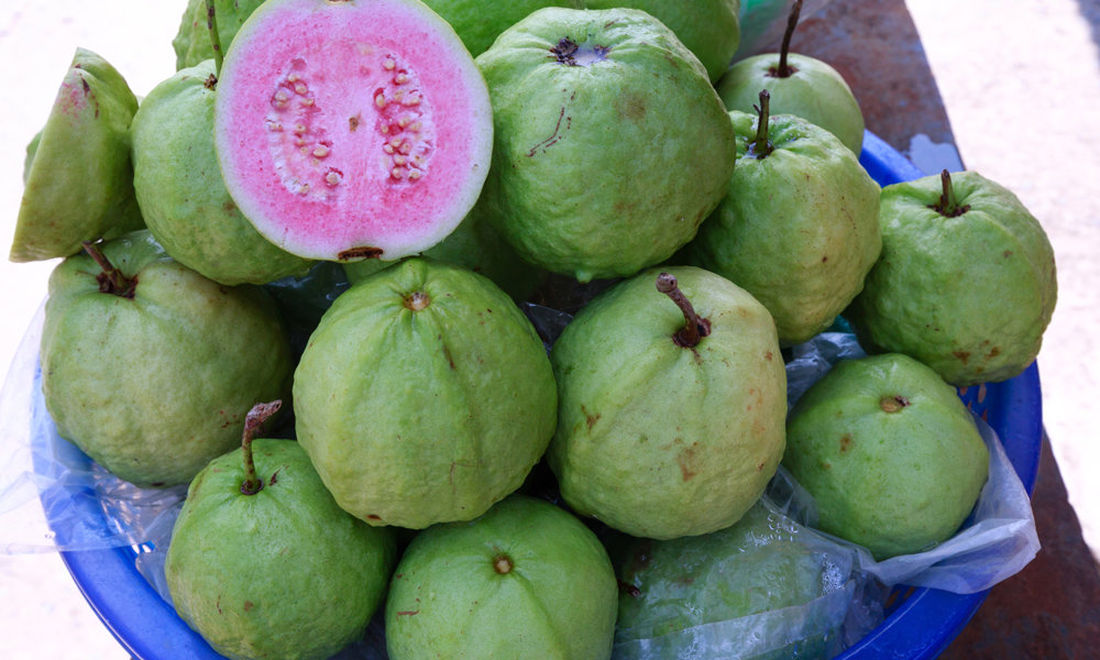 guava for weight loss