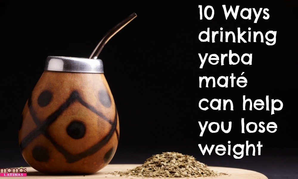 yerba mate