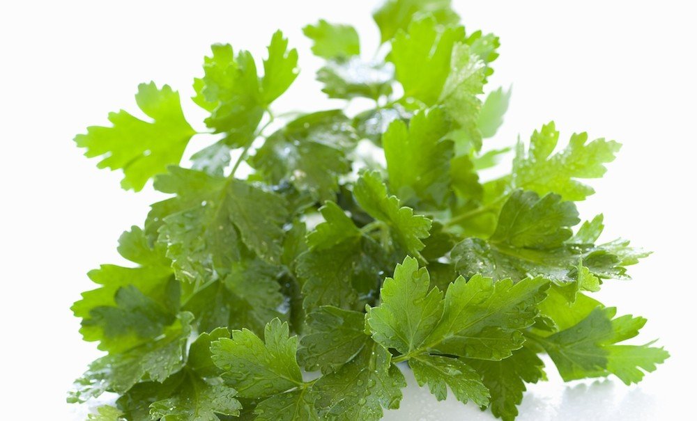 parsley CORBIS