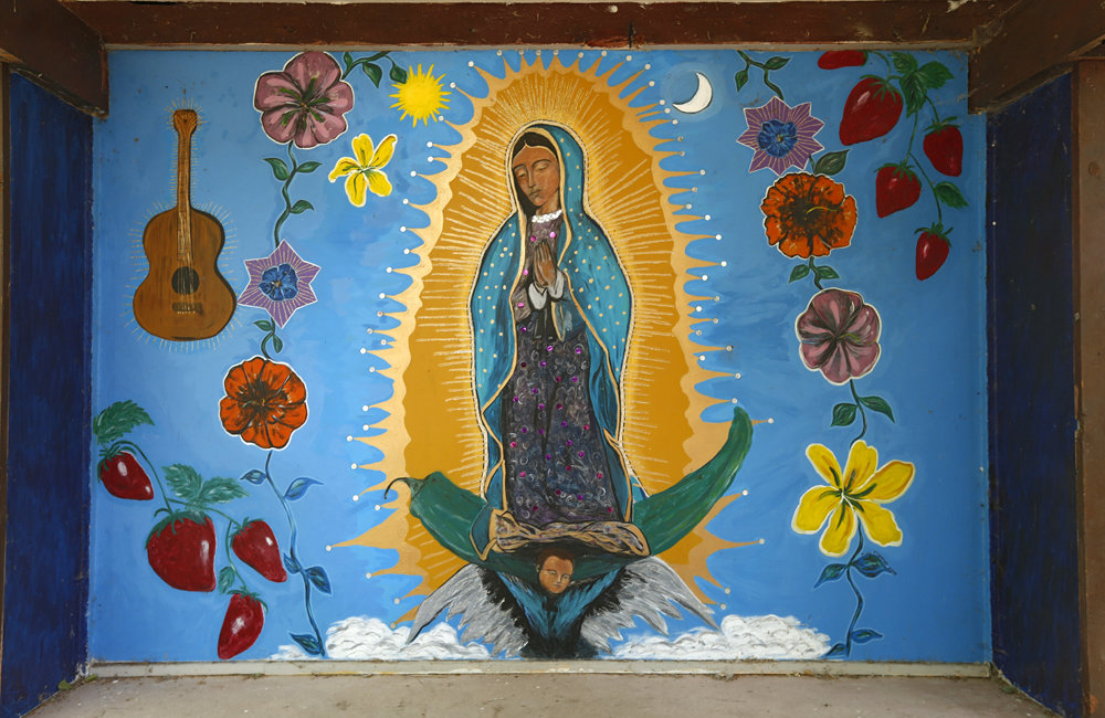 virgen de guadalupe