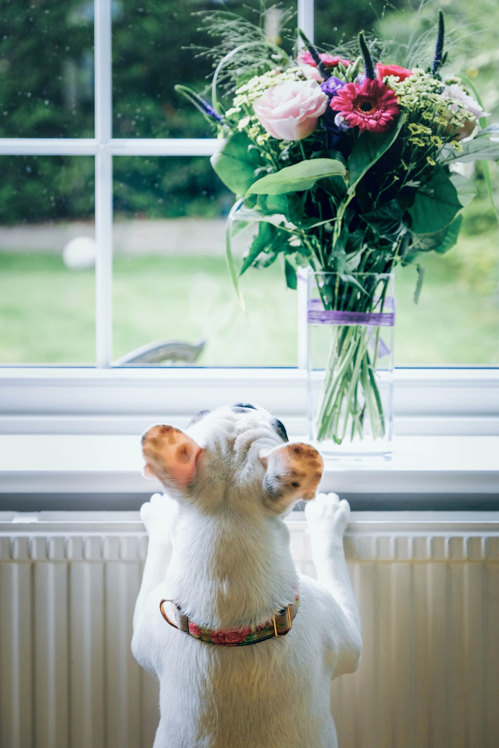 flower-bouquet.jpg