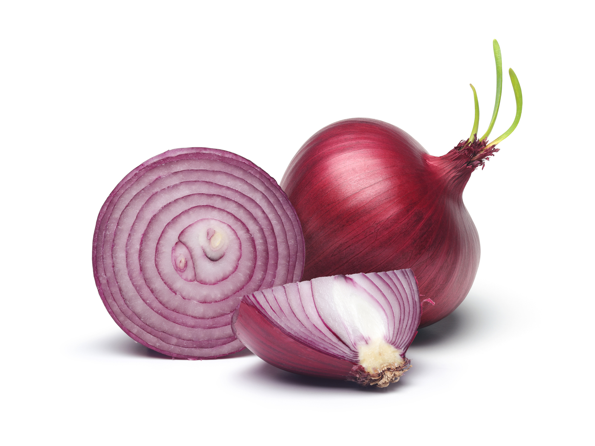 Red onion and slices with green sprout