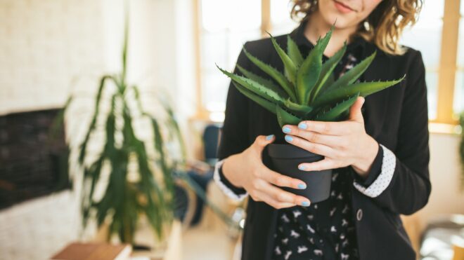 Mujer con planta de sávila