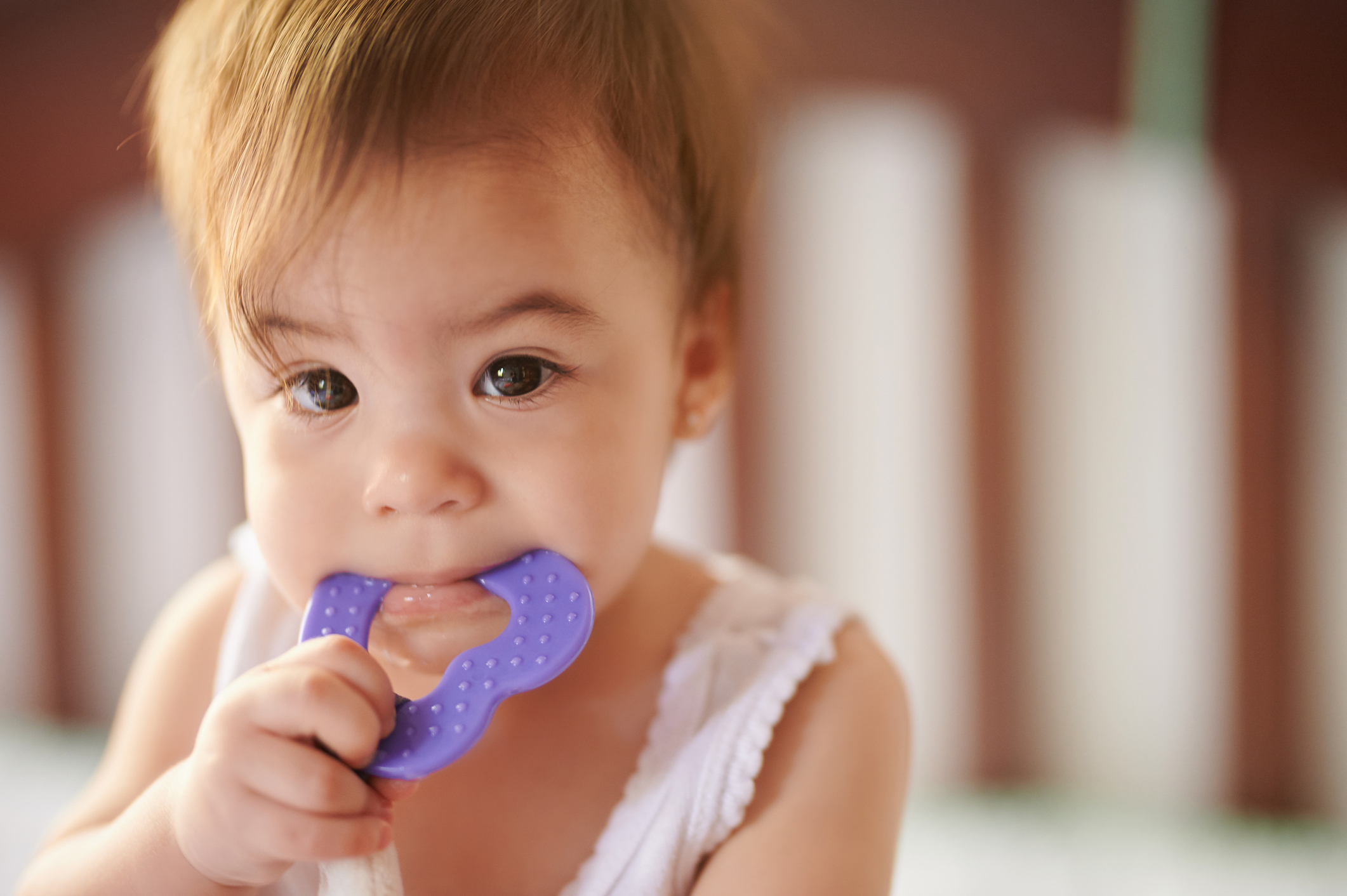 Baby girl sucking toy