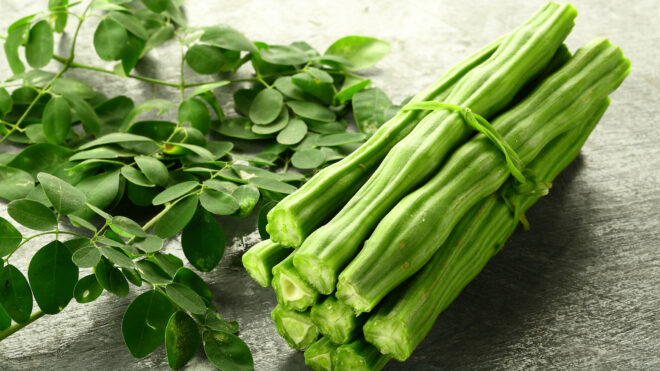 Tallos y hojas de moringa