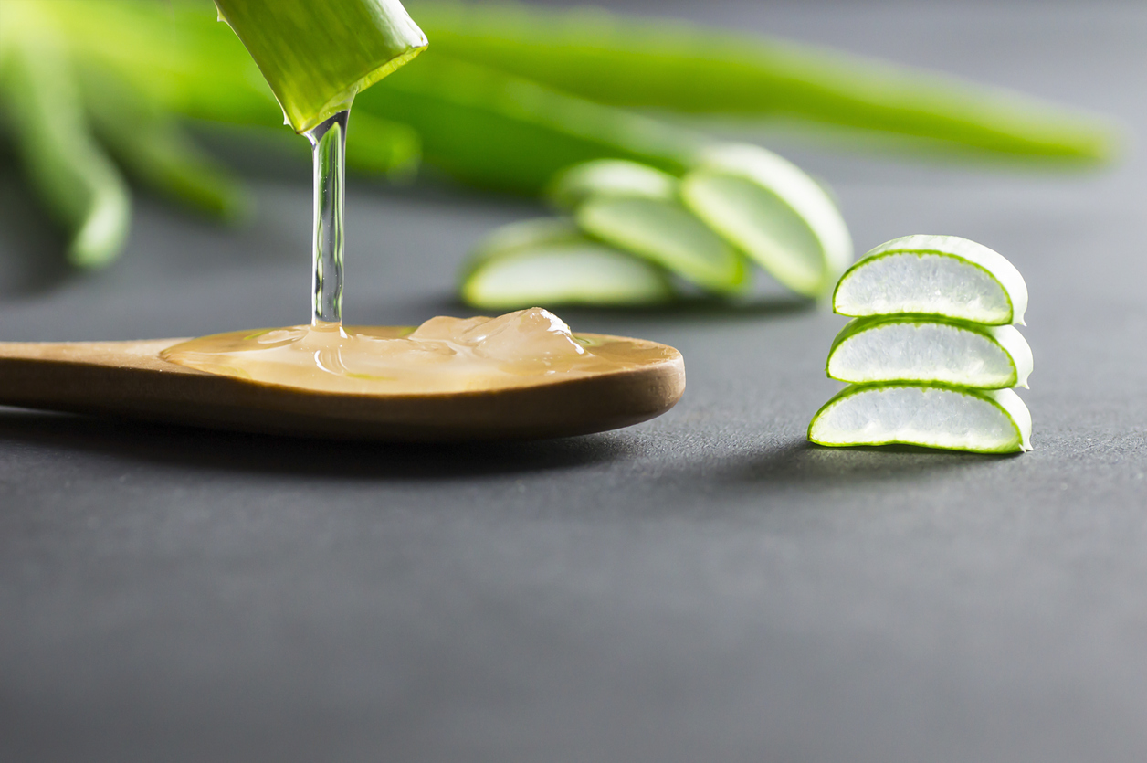 Aloe Vera gel close-up. Sliced Aloe vera plants leaf and gel with wooden spoon