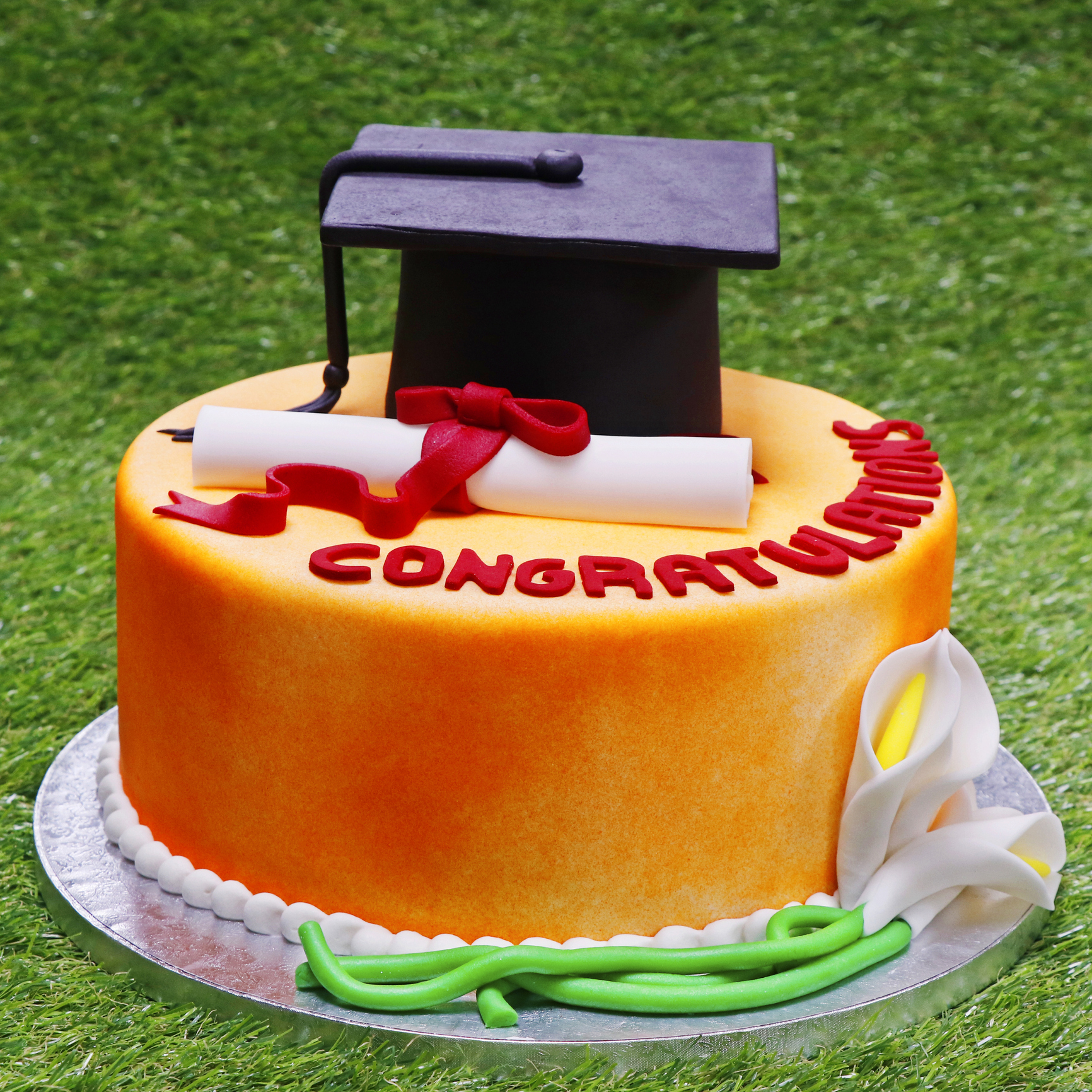 graduation cake with green grass background isolated