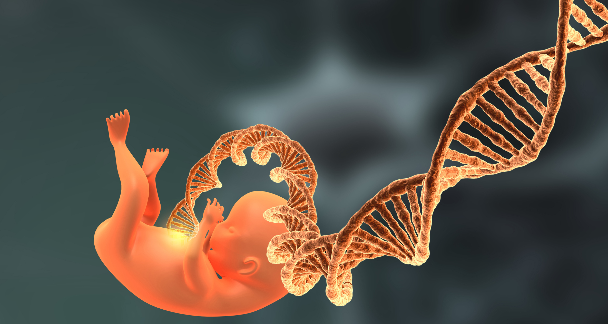 Human Fetus and Dna scientific concept