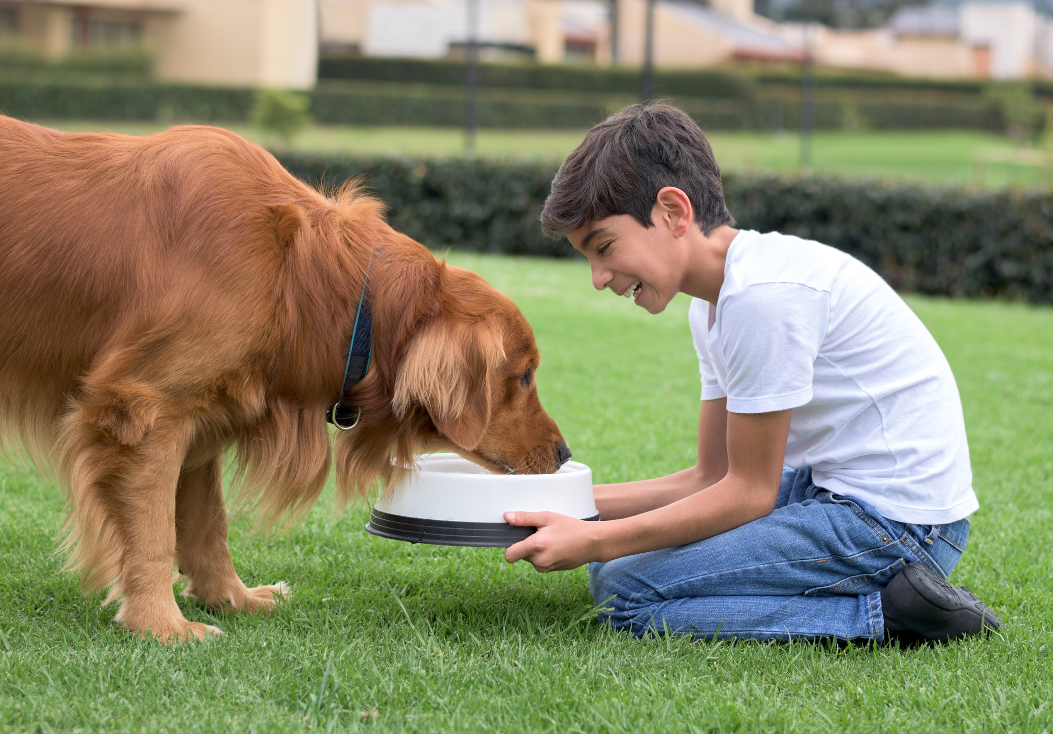 Boy giving water to his dog