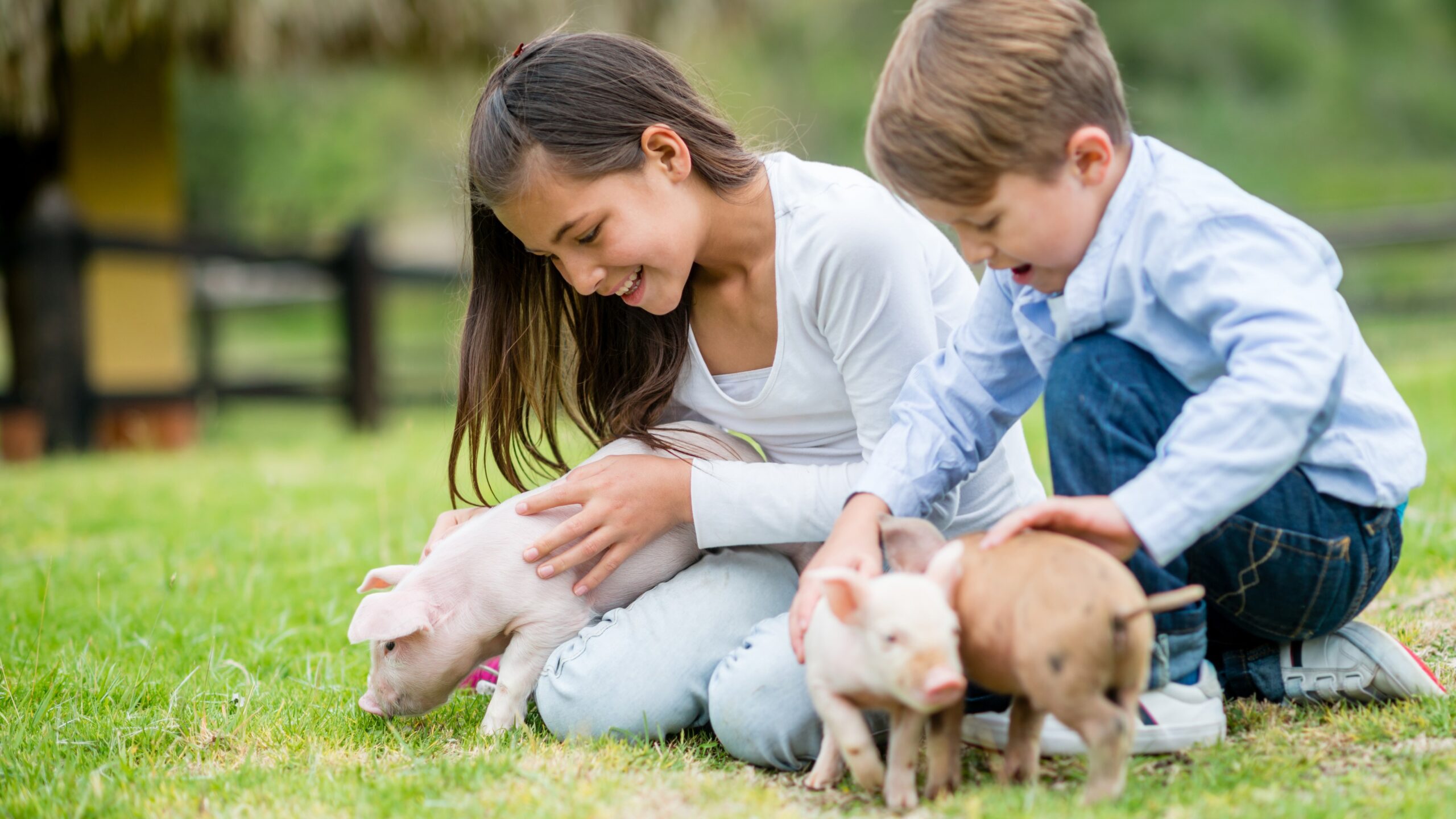 niños con animales