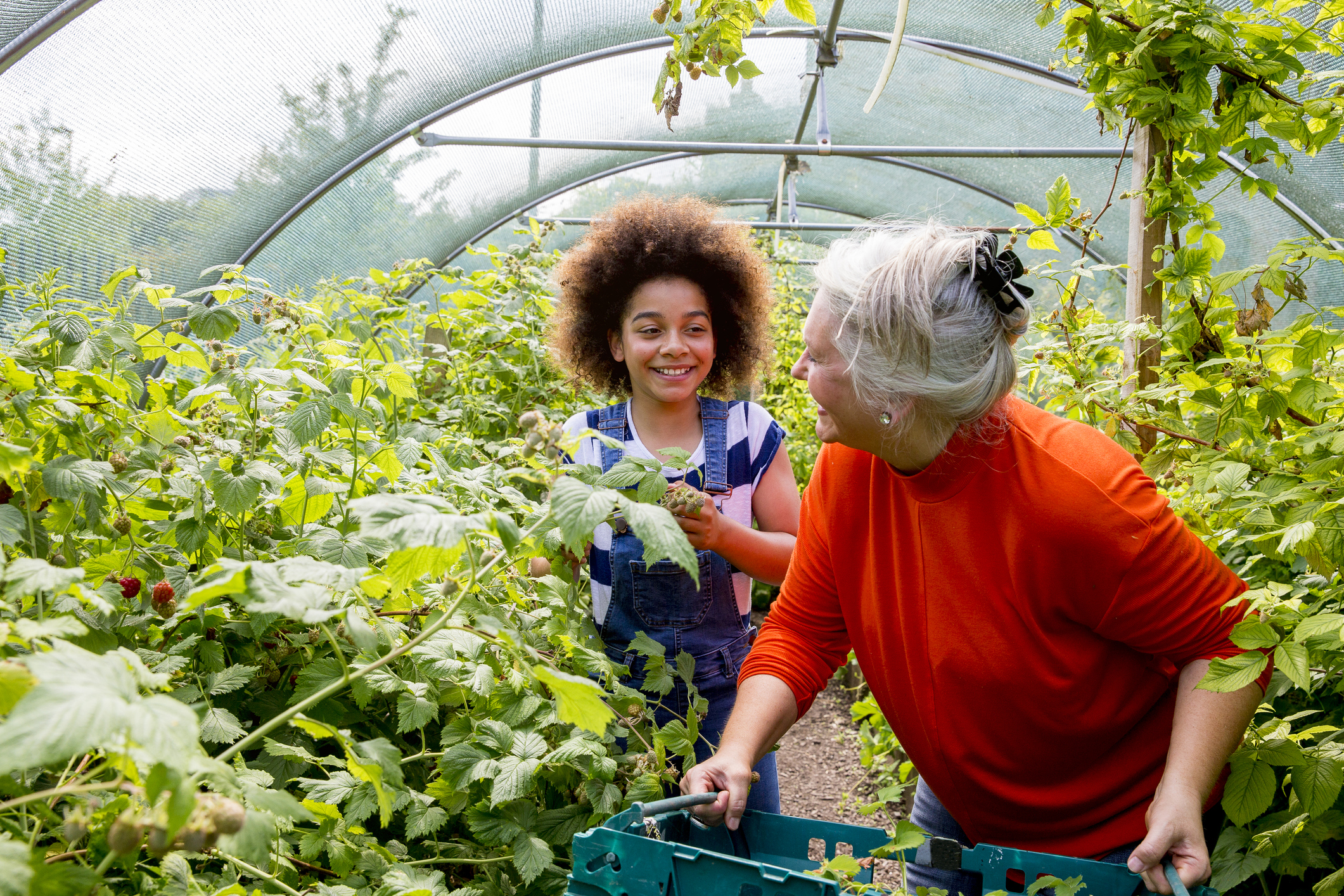 Gardening in the Greenhouse