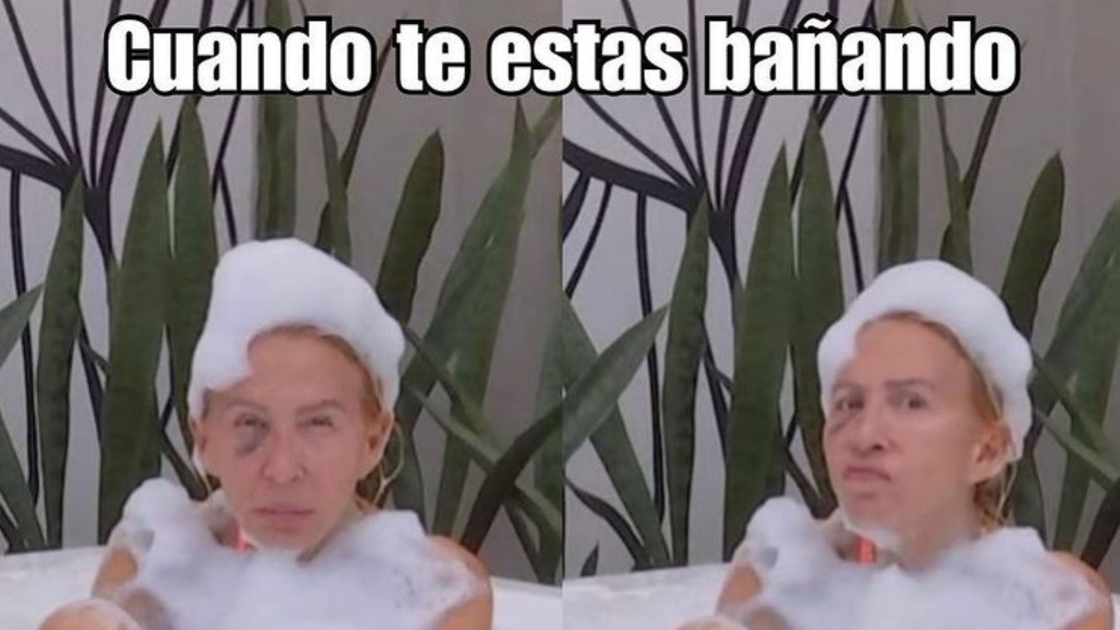 laura bozzo meme