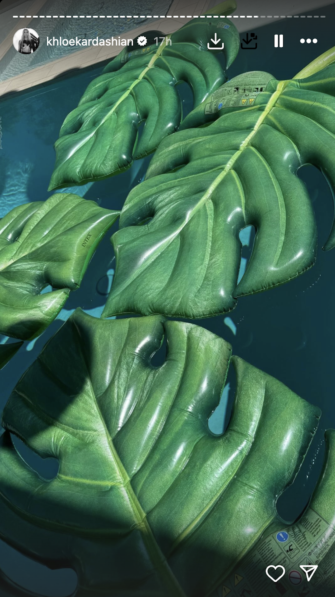 leaf_floaties.png