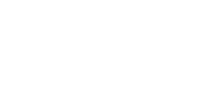 Little Things logo