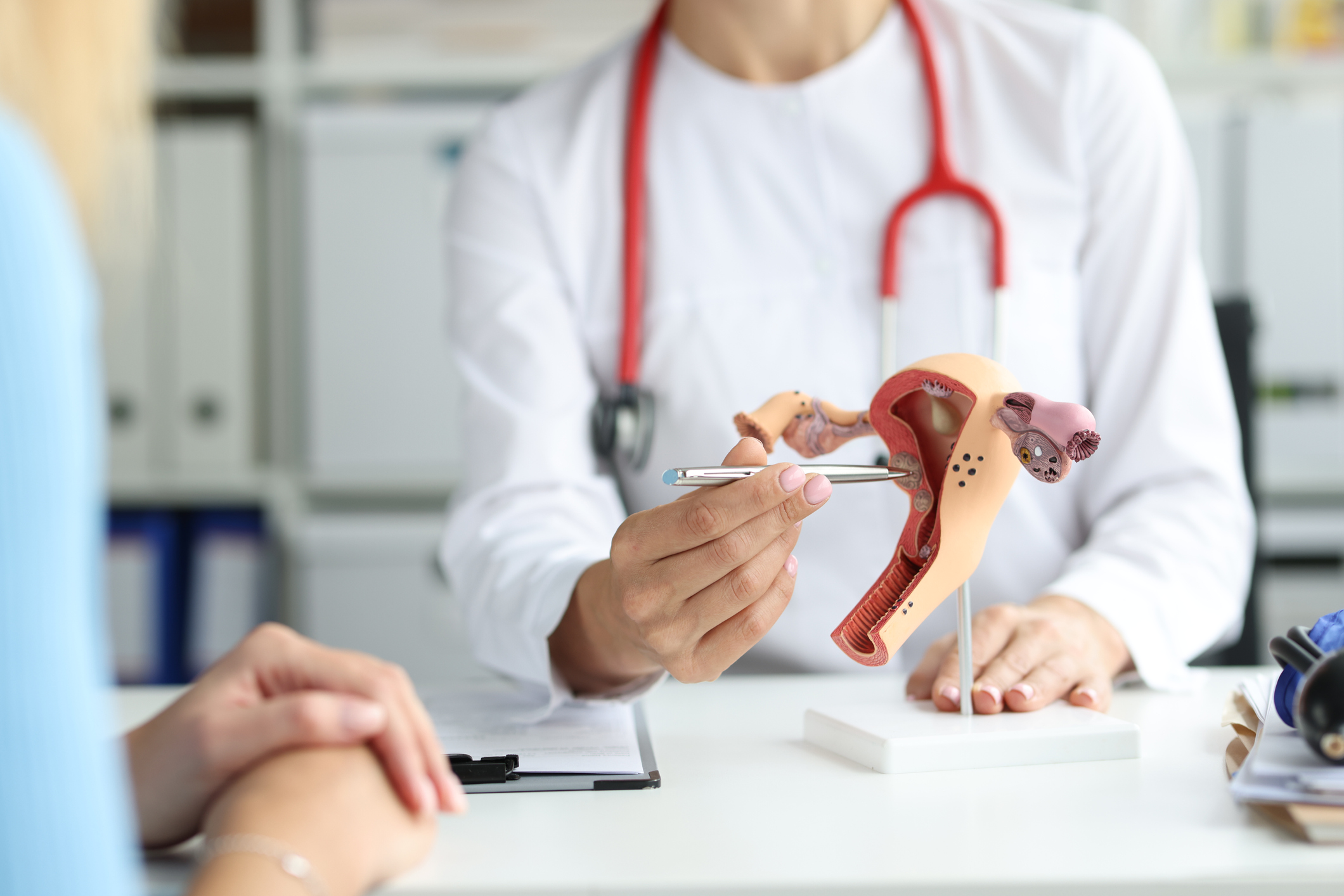 Gynecologist shows patient work on training model of female reproductive system