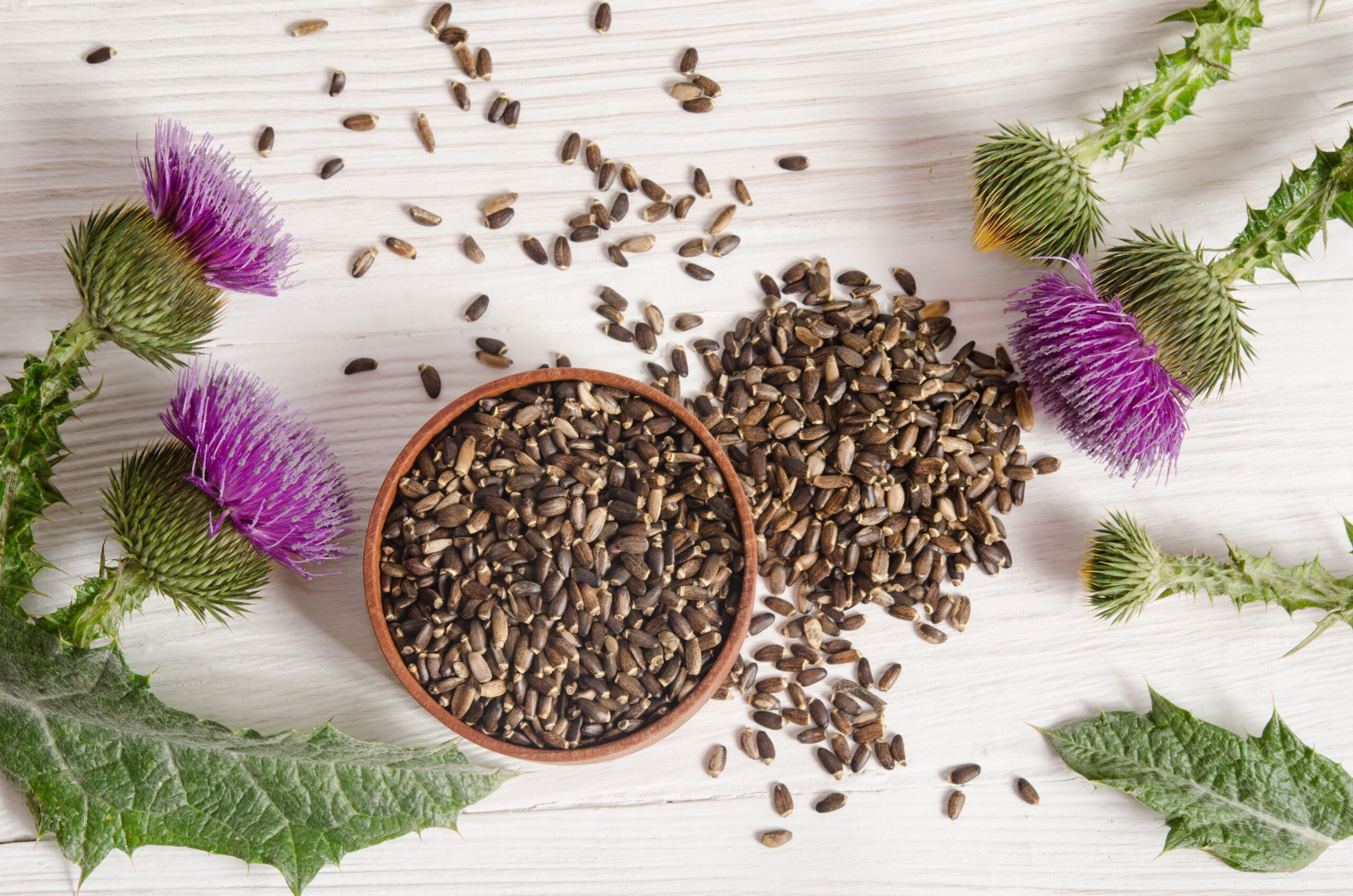 Seeds of a milk thistle with flower on wooden table