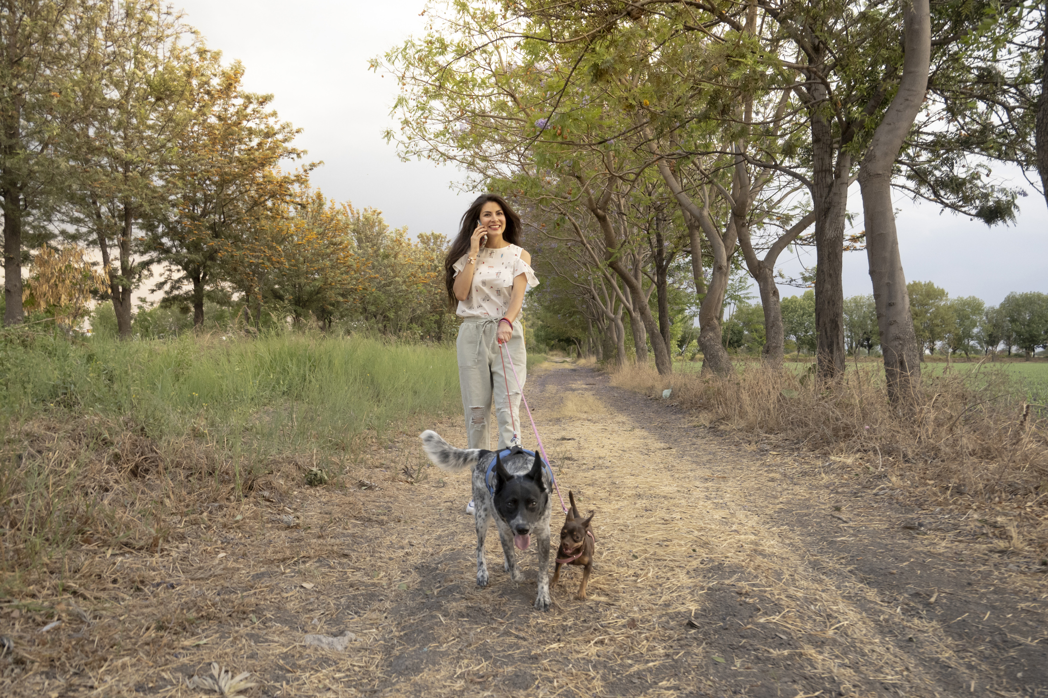 young adult woman using her smartphone while walking her dogs outdoors at sunset