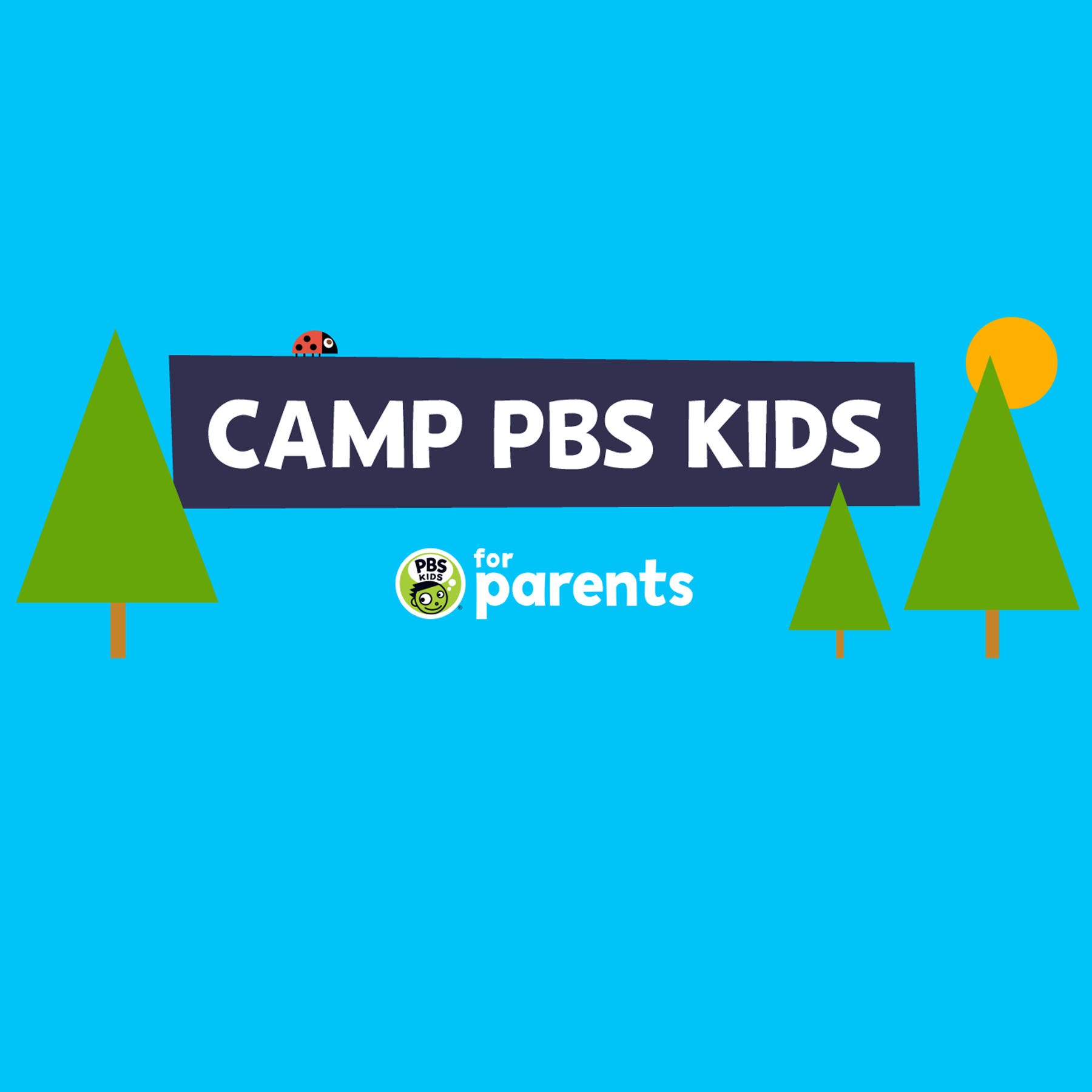 Camp_PBS_Kids.png