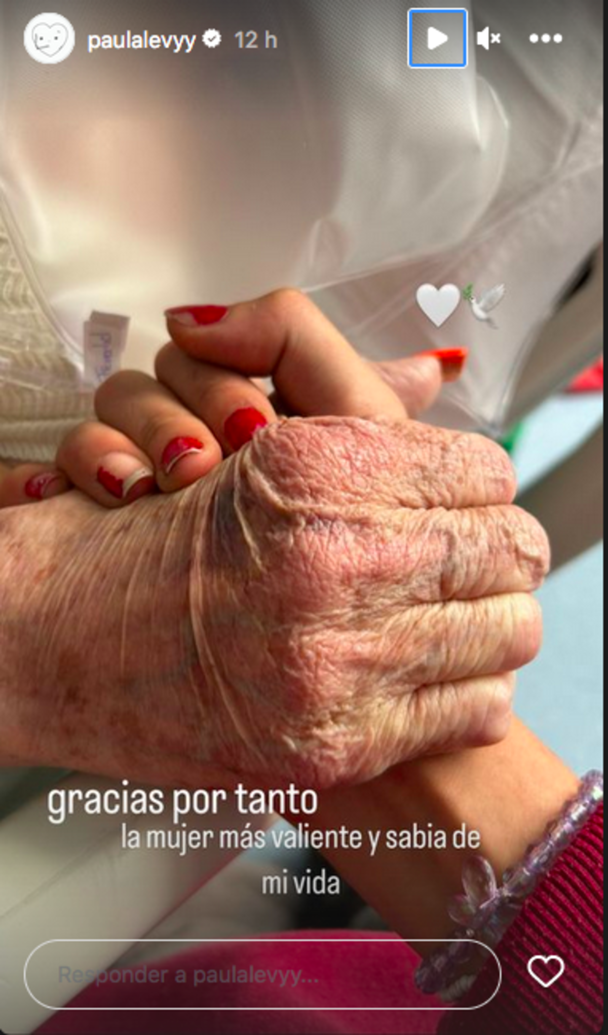 Captura_de_pantalla_2023-06-29_a_la_s__07.11.24__1-1.png