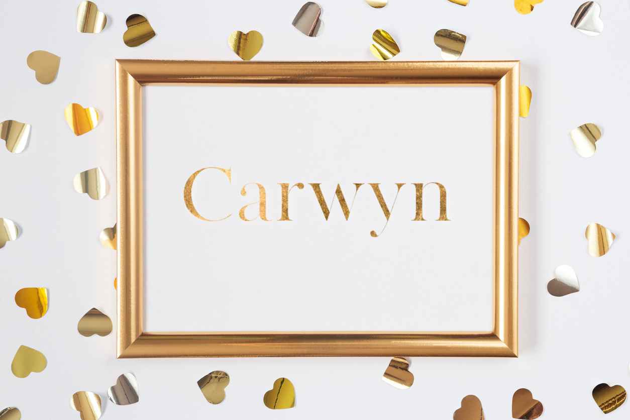 Carwyn-iStock-1294400329-Kateryna_Maidannikova.jpeg