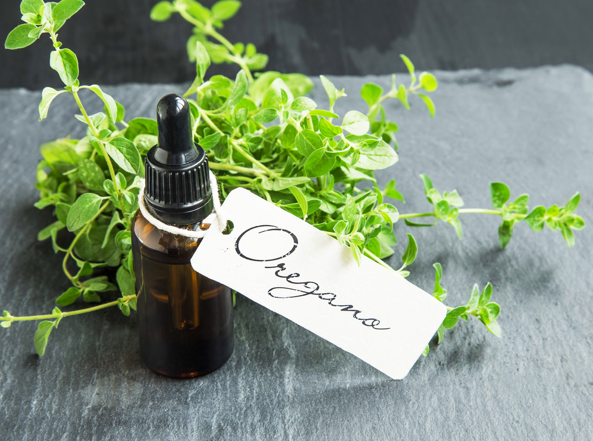 Oregano oil bottle with label