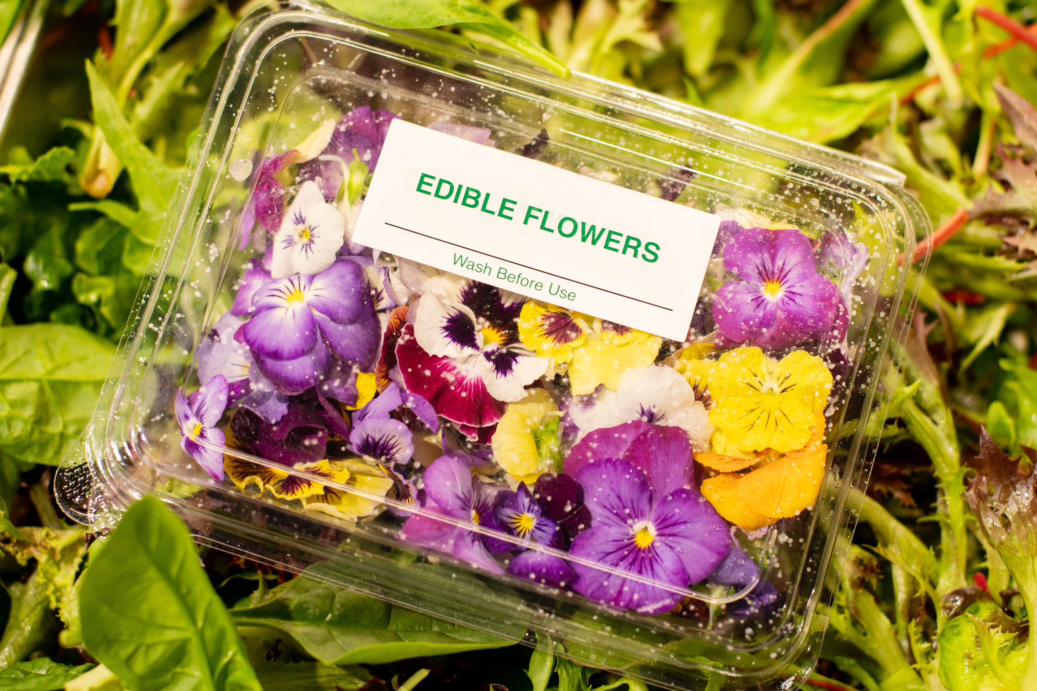 A punnet of oraganic edible flowers on a leafy salad green background.