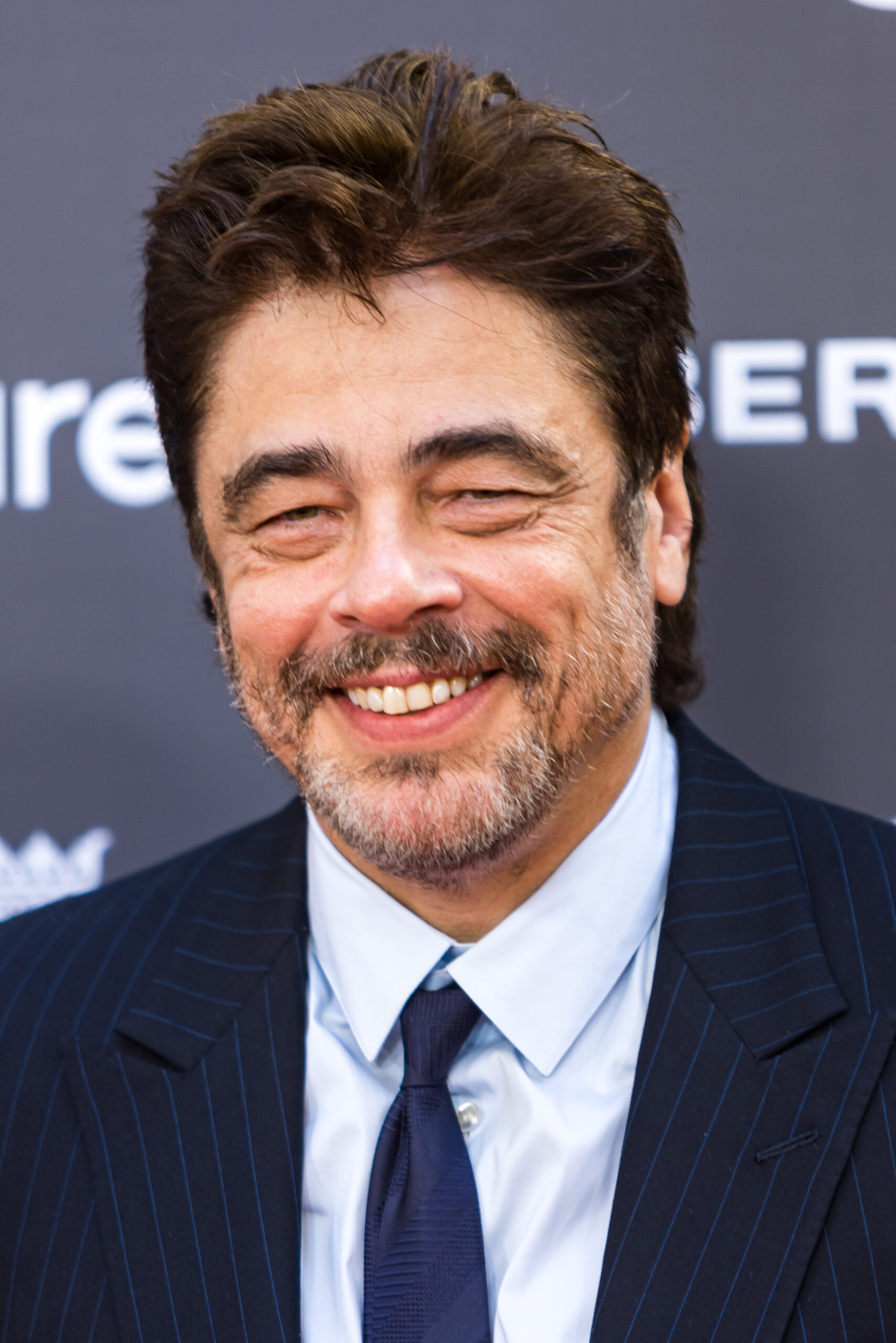 Benicio Del Toro Attends "Platino De Honor" Award Press Conference