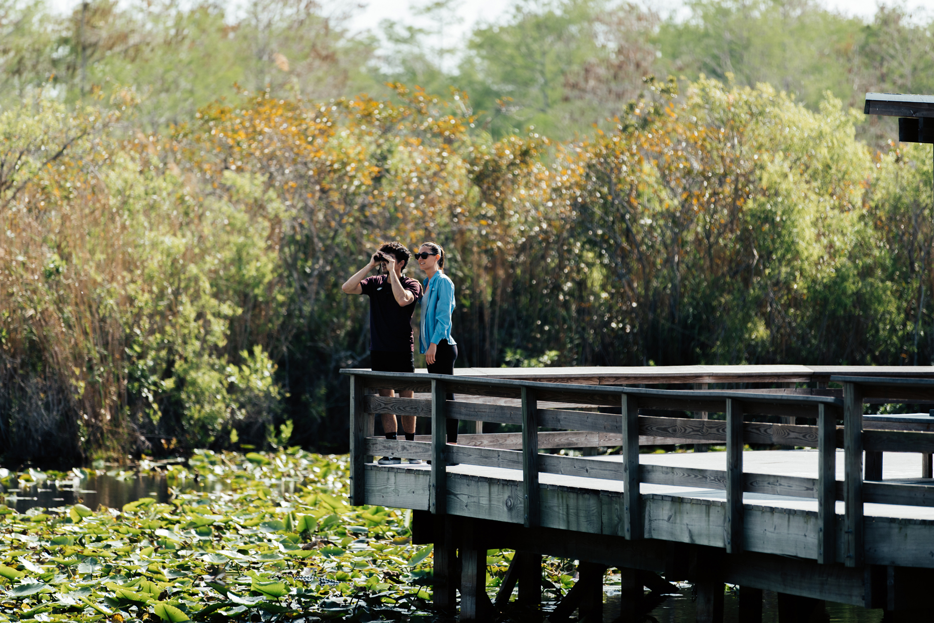 EVERGLADES NATIONAL PARK WILDLIFE